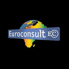 Image courtesy of Euroconsult.