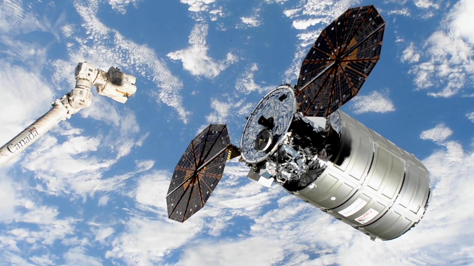 US Cygnus cargo spacecraft carried the seeds to ISS. Credit NASA