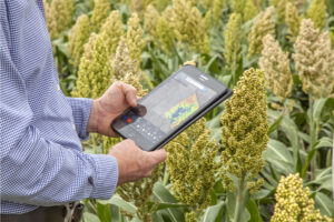 Using technology to improve sustainability for Australian farmers. Credit Data Farming. Maya Nula