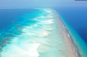 Drone shot of coral