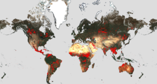 Worldwide fires from ESA's World Fire Atlas. Credit ESA