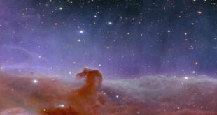 Eucild view of Horsehead nebula. Credit: ESA/Eucild consortium