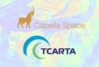 Capella Space and TCarta Partner for Real-Time Coast Monitoring