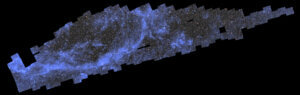 Mosaic of Euclid observation. Credit: ESA