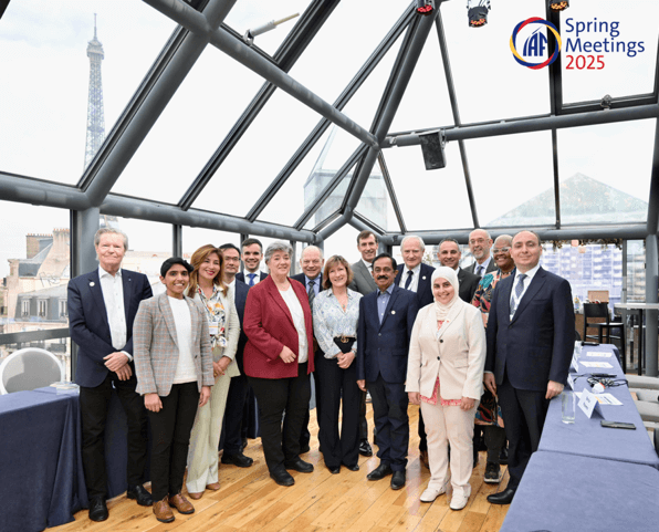 IAF Spring Meetings 2025 - Bringing Sustainability for Space and Earth