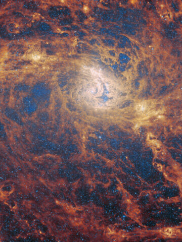Webb Telescope Spots Indications of a Black Hole at Heart of Nearby M83 Galaxy