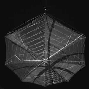 Biomass Forest Satellite Unfurls Umbrella-Like Antenna in Orbit