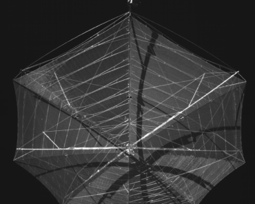 Biomass Forest Satellite Unfurls Umbrella-Like Antenna in Orbit