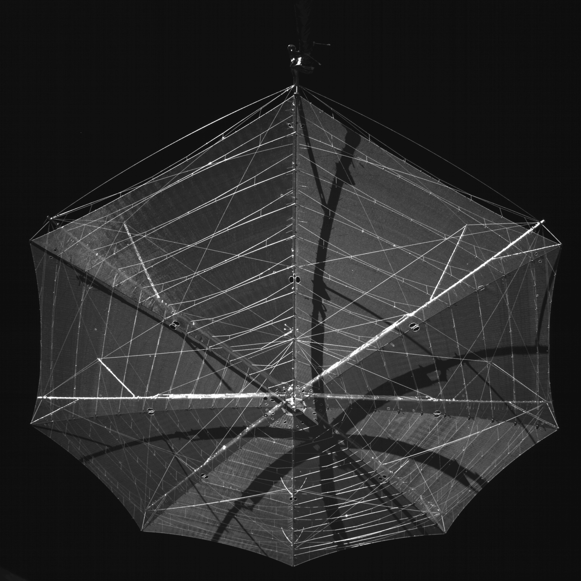 Biomass Forest Satellite Unfurls Umbrella-Like Antenna in Orbit