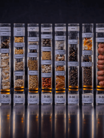 Jaguar Space Set to Launch Seeds from Emerging Space Nations to the ISS