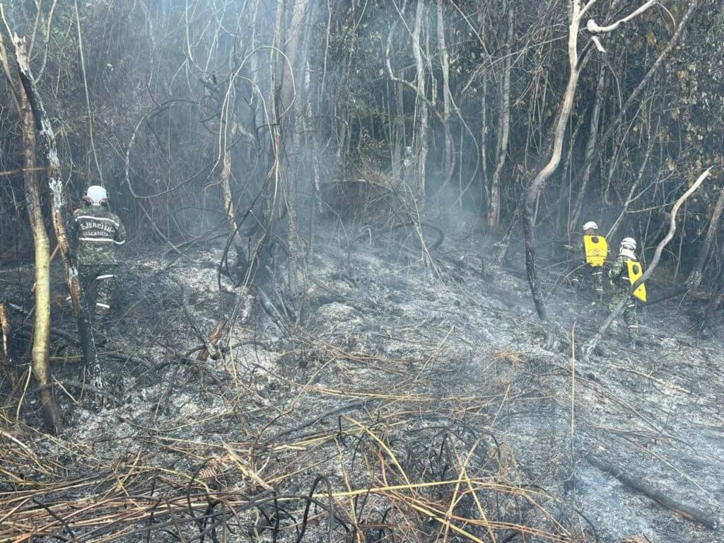 Colombia Launches Wildfire Monitoring Program Using OroraTech’s Satellite Technology