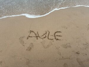 Aule Space Raises $2 Million in Pre-Seed Funding to Build Satellite Life-Extension 'JetPacks'