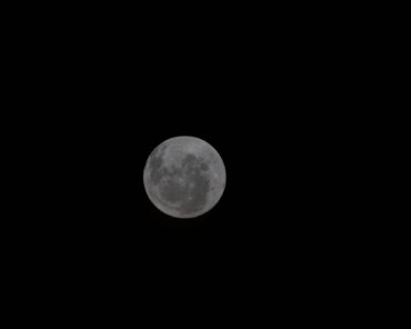 In this new image from our NASA Artemis II crew, you can see Orientale basin on the right edge of the lunar disk.