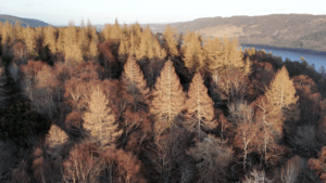 CATALYST Partners DUAL UK to Develop Satellite-Enabled Biodiversity Risk Solution for Insurance
