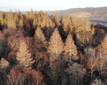 CATALYST Partners DUAL UK to Develop Satellite-Enabled Biodiversity Risk Solution for Insurance