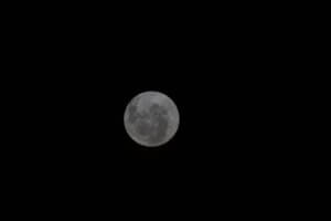President Trump Prioritizes Lunar Exploration in NASA's FY2027 Budget Amidst Funding Cuts
