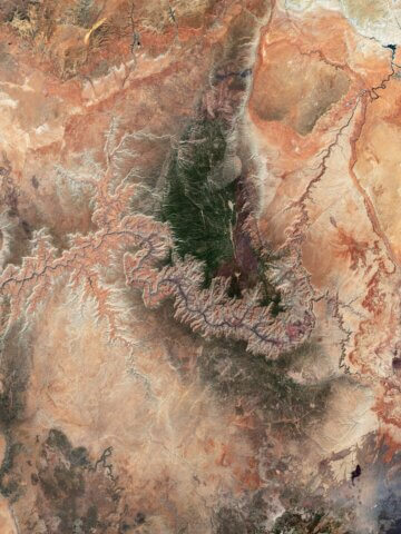 The Grand Canyon and the Colorado Plateau captured by Copernicus Sentinel-2, with Lake Powell in the top right. Contains modified Copernicus Sentinel data (2026), processed by ESA.
