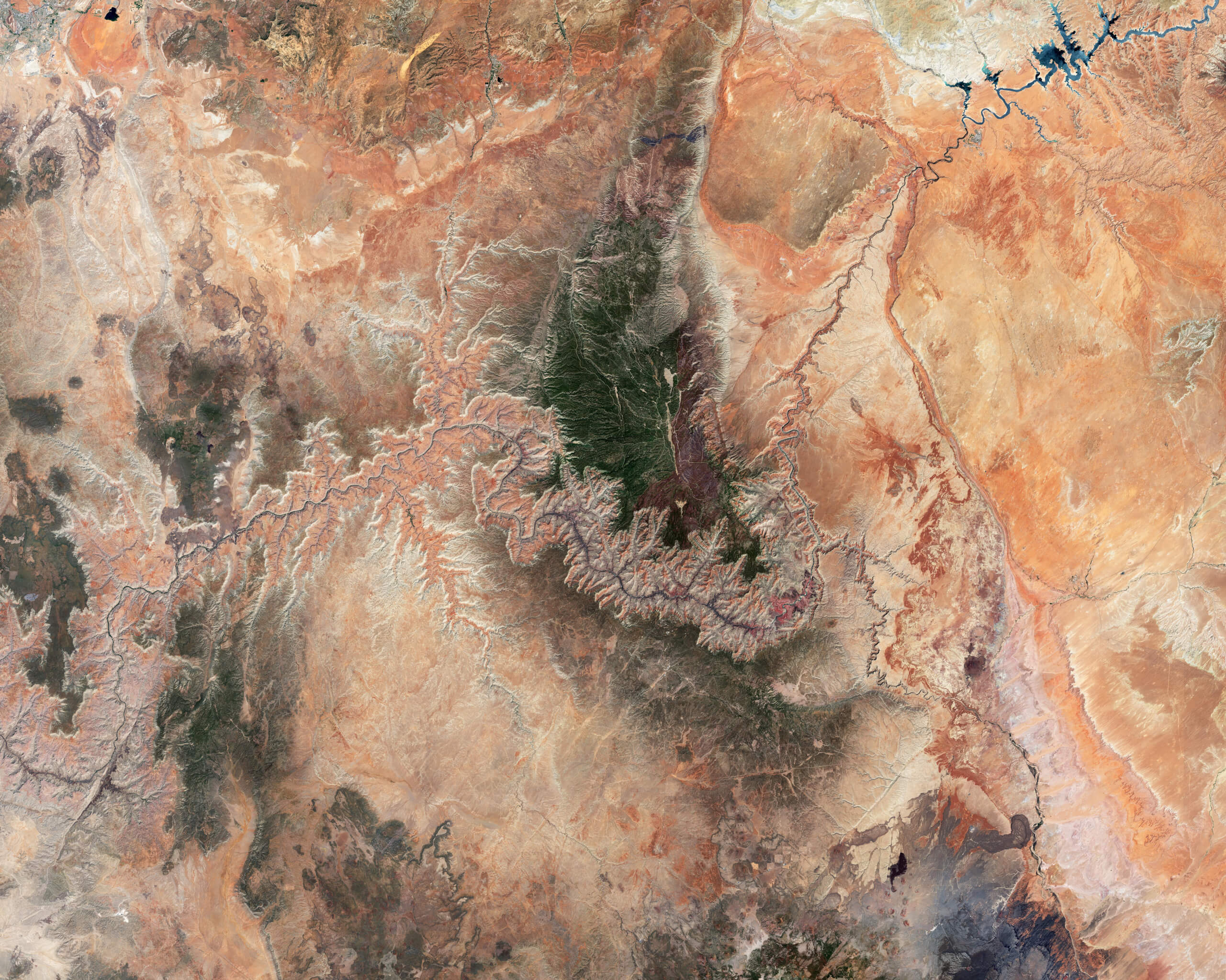 The Grand Canyon and the Colorado Plateau captured by Copernicus Sentinel-2, with Lake Powell in the top right. Contains modified Copernicus Sentinel data (2026), processed by ESA.