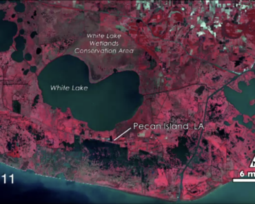 A satellite view of Vermillon Parish, Louisiana, part of a short video showing the coastline transformation from 1973 to 2011. Credit: NASA Scientific Visualization Studio, date of release 23 July 2012.