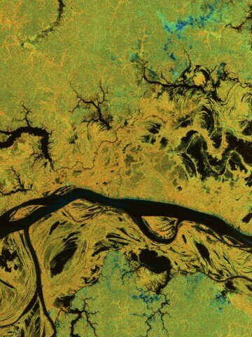 This image, captured over Brazil on 18 June 2025, shows the confluence of the Purus River and the Amazon River in northern Brazil, where the silty, ‘whitewater’ channels weave through a vast landscape of dense tropical rainforest and seasonally flooded plains. Credit: ESA/DLR