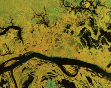 This image, captured over Brazil on 18 June 2025, shows the confluence of the Purus River and the Amazon River in northern Brazil, where the silty, ‘whitewater’ channels weave through a vast landscape of dense tropical rainforest and seasonally flooded plains. Credit: ESA/DLR
